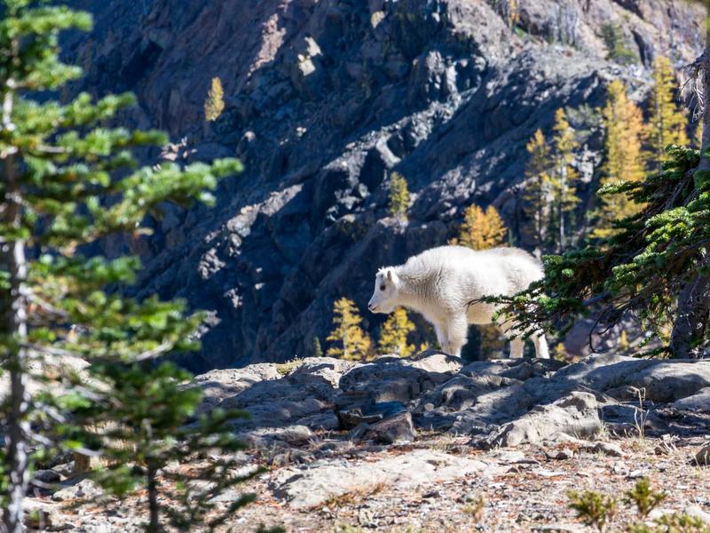 账号批量管理<br>多账号统一登录与操作教学